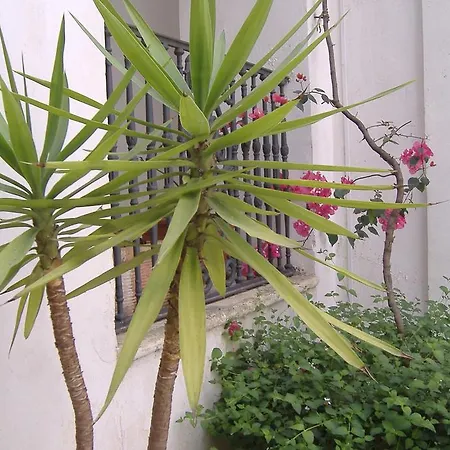 Alojamento de Acomodação e Pequeno-almoço Corte S. Angelo