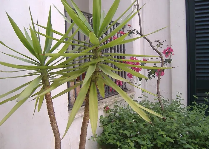 فندق مبيت وإفطار Corte S. Angelo